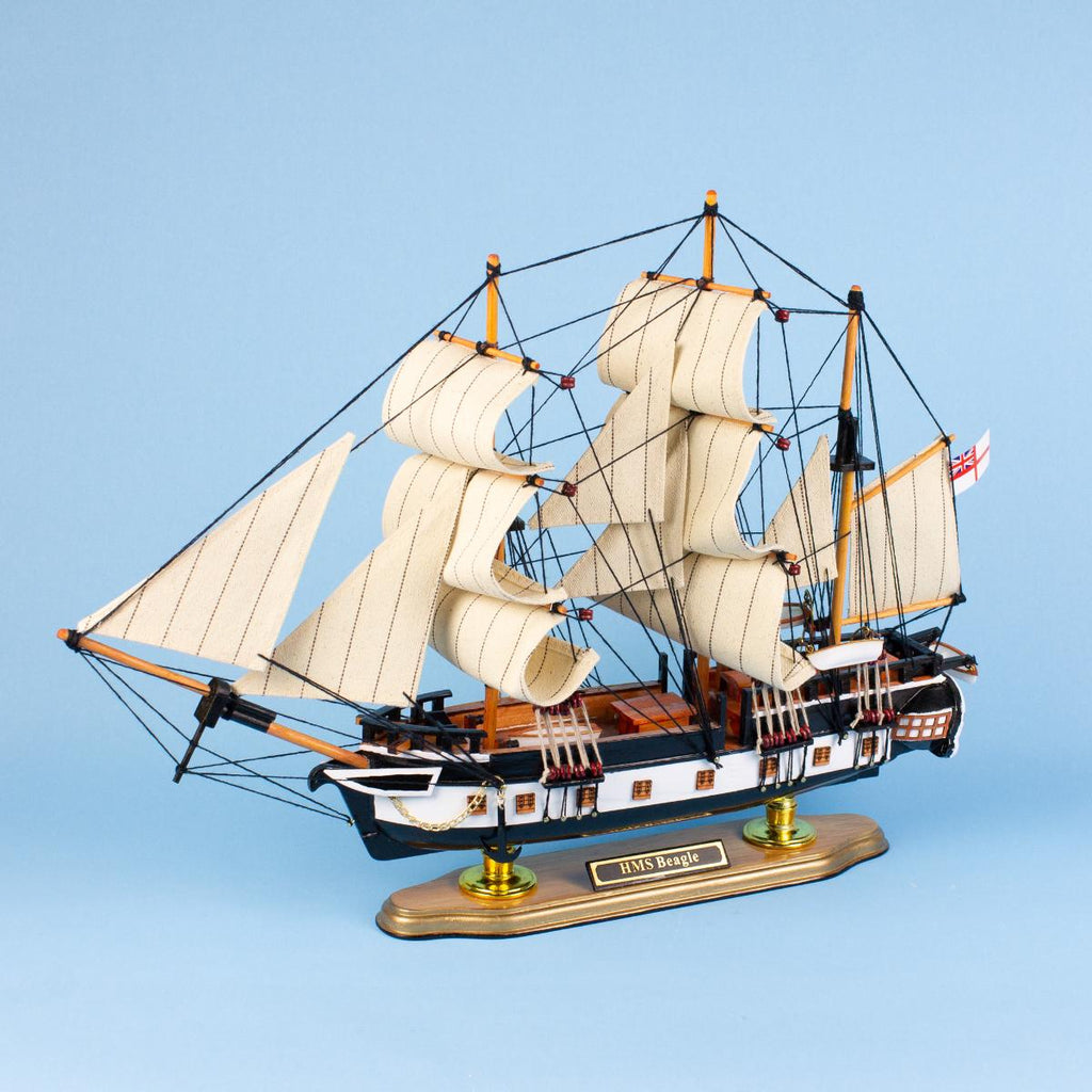 HMS Beagle Ship Model