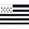 Courtesy Flags